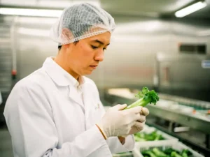 Food safety worker in white coat and hairnet inspecting fresh vegetables under fluorescent lighting in a stainless steel processing facility.
